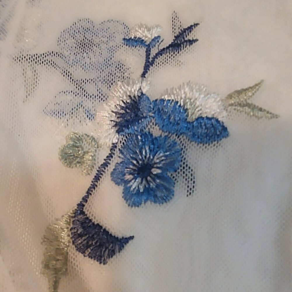 Kimcine Sheer Embroidered Top - Picture 3 of 5